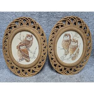 Vintage Owl Pictures Art Decor Faux Wicker Boho StyleFramed set of 2